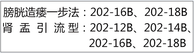 一次性使用無(wú)菌引流導(dǎo)管套裝（球囊型）
