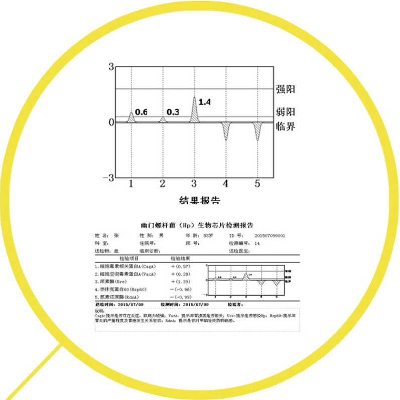 欣康基因斑點試驗芯室