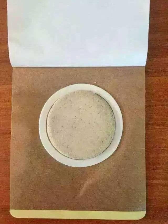沙蒿子透皮貼