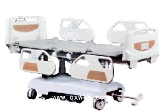 RS800八功能豪華電動(dòng)床(ZT800)