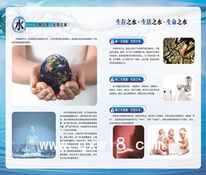 生命元素