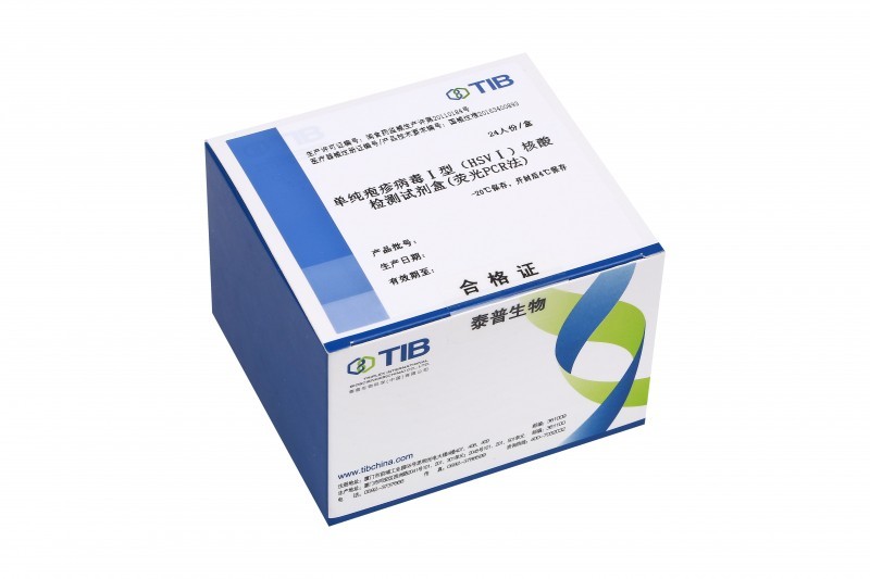單純皰疹病毒Ⅰ型（HSV-Ⅰ）核酸檢測(cè)試劑盒