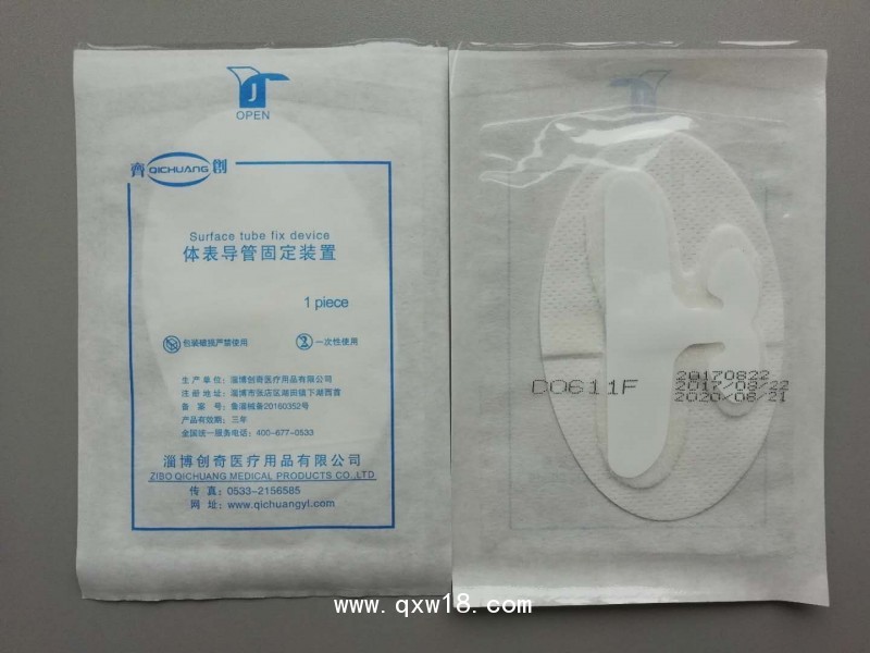 體表固定裝置