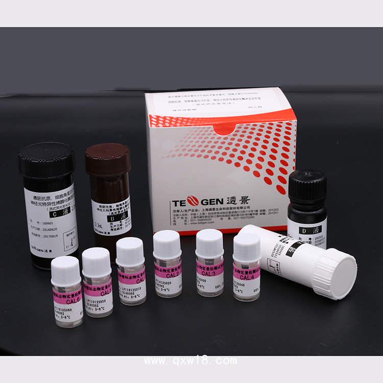 腫瘤標志物肺癌三項CEA/CYFRA211/NSE測定試劑盒