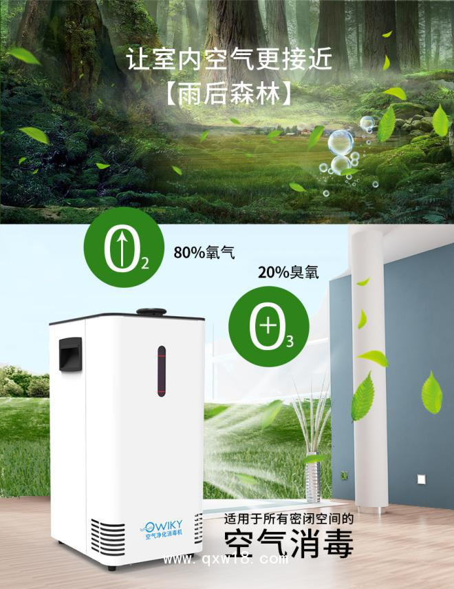 圖片3