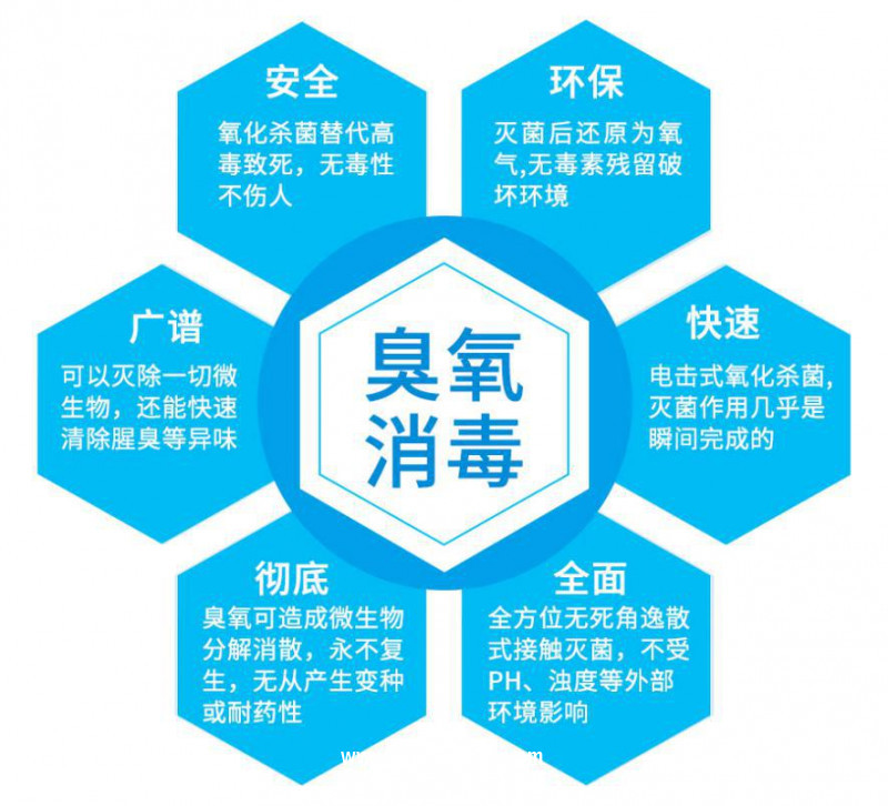 圖片6