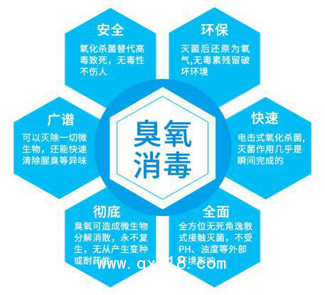 圖片5