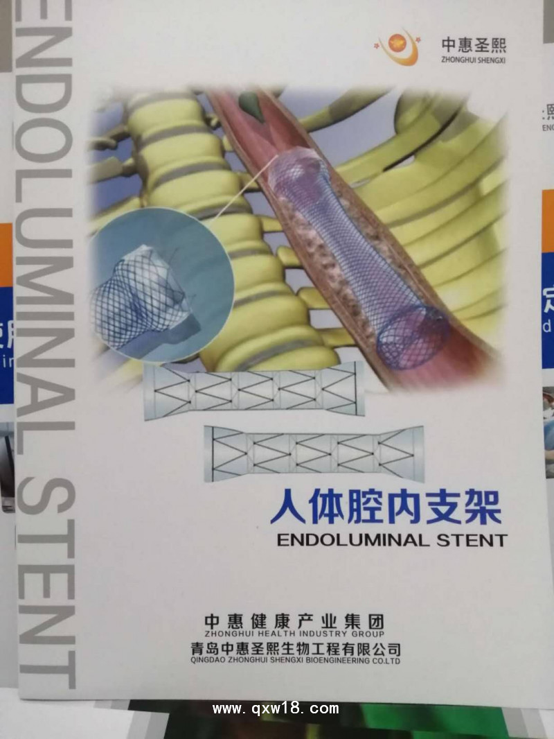 支架