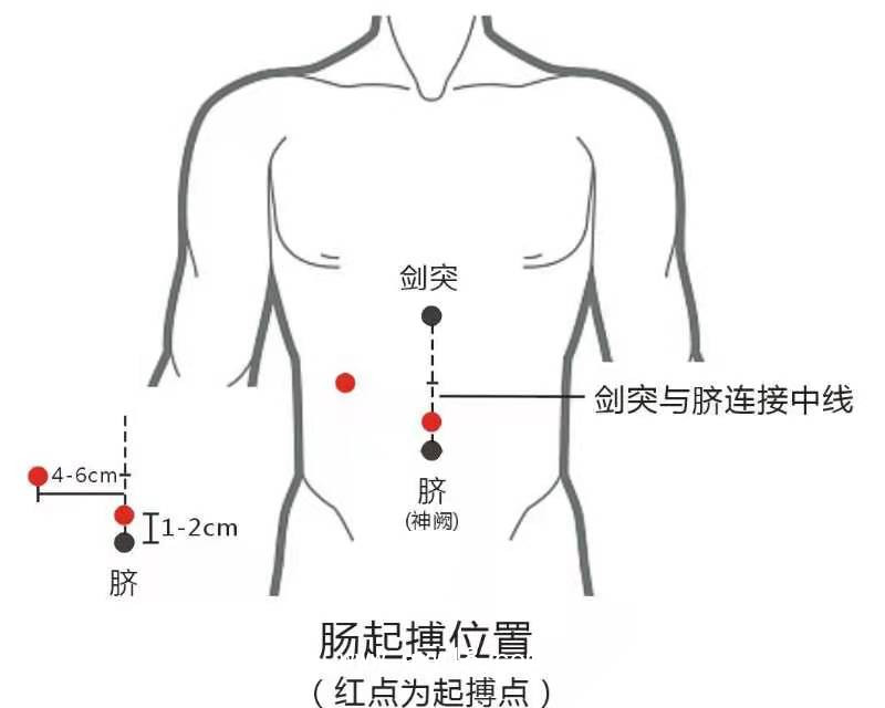 胃腸動(dòng)力治療儀雙通道YZ-ZP-D