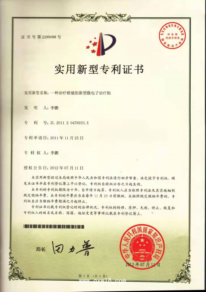 癌痛貼——消癌痛、消癌腫、排癌毒