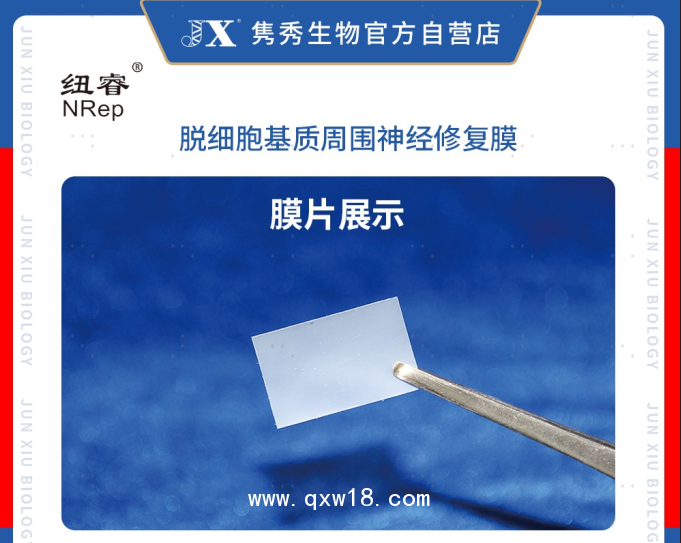 脫細胞基質(zhì)周圍神經(jīng)修復膜（紐睿）