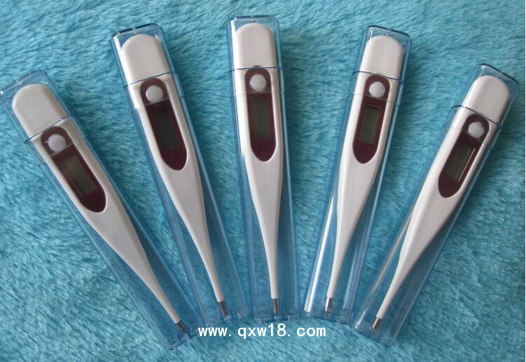電子量溫器