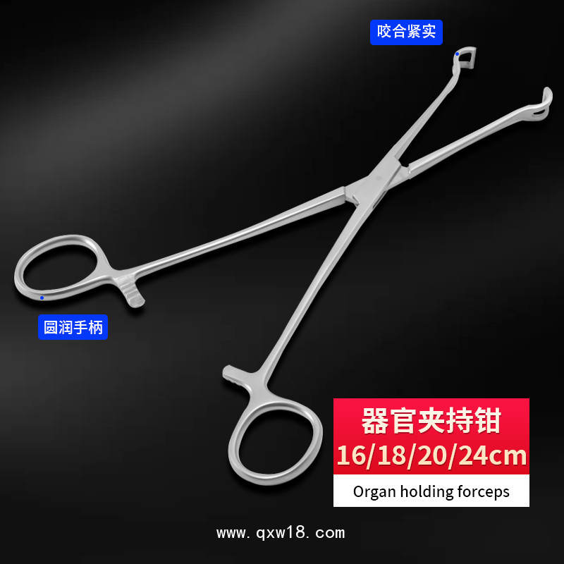 德國不銹鋼制成器官夾持鉗 基礎(chǔ)外科夾持鉗 無損傷夾持鉗醫(yī)用鉗