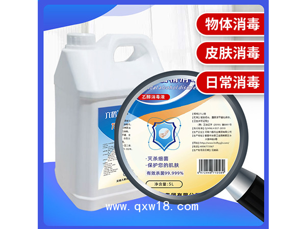 六鶴廠家現貨大桶5L酒精抑菌液 皮膚傷口殺菌