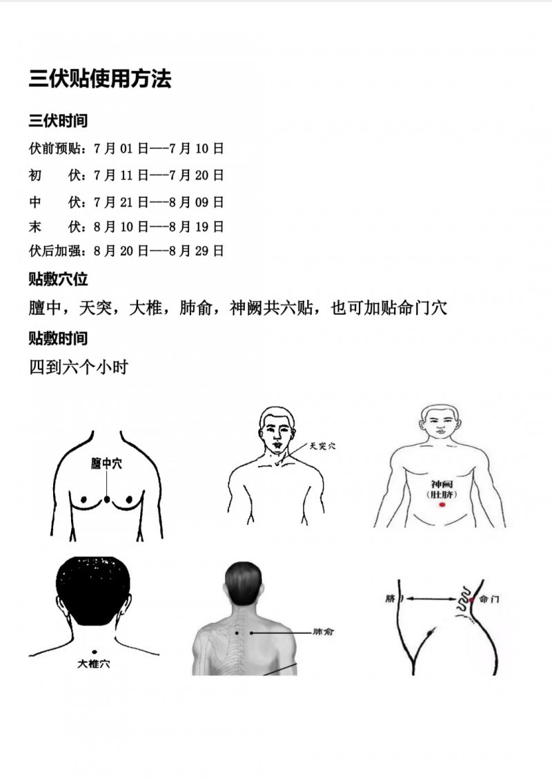 三伏貼