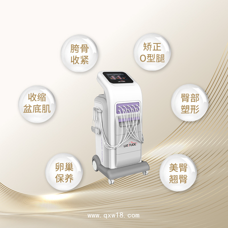 盆底康復(fù)治療儀 盆底康復(fù)診療儀 盆底康復(fù)儀器