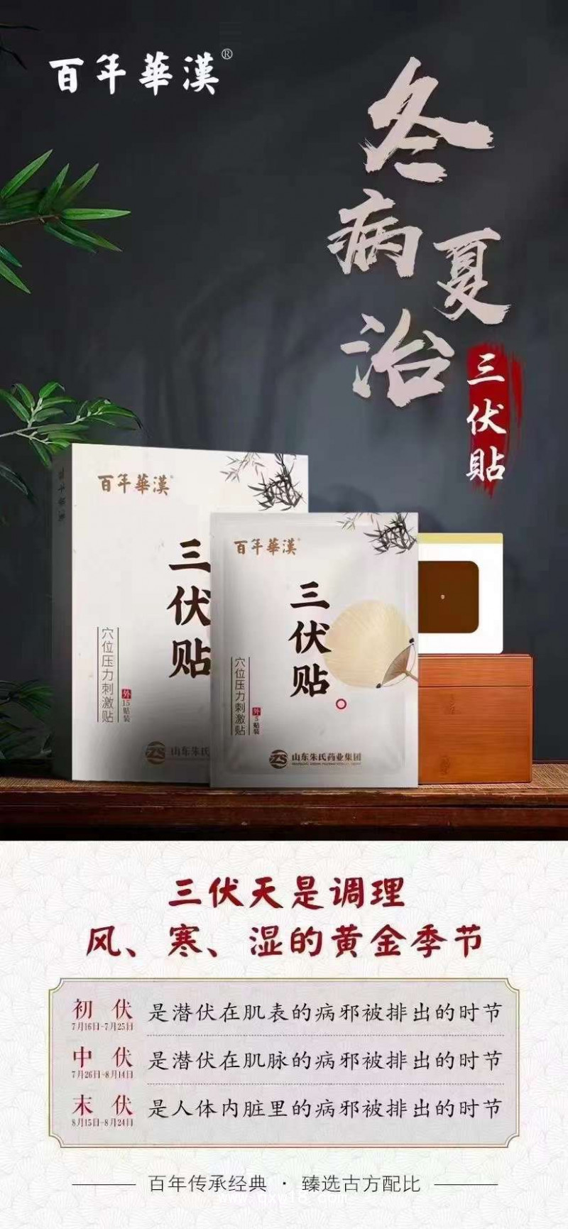 三伏貼生產(chǎn)廠家 承接定制 oem品牌代加工 可來(lái)廠參觀考察