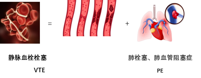 圖片2.png