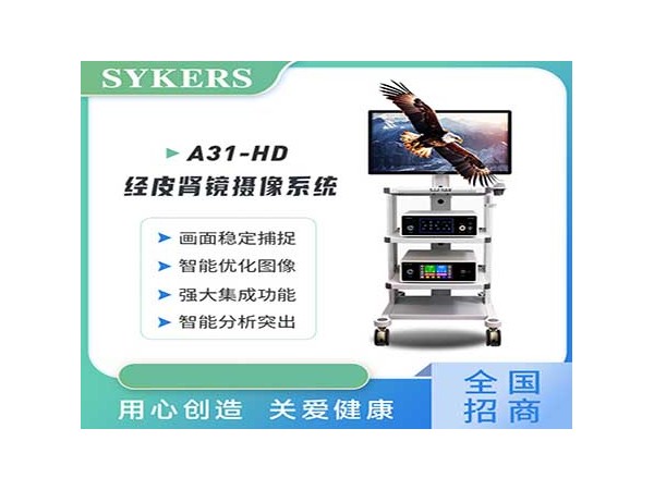SYKERS 史克斯內(nèi)窺鏡 高清耳鼻喉內(nèi)窺鏡 鼻鏡