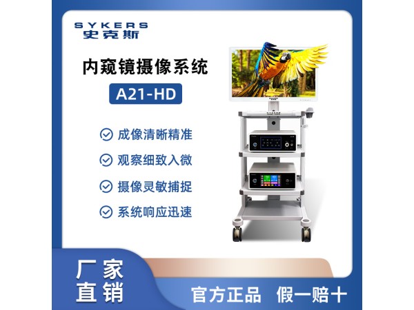 SYKERS 史克斯內(nèi)窺鏡 喉鏡攝像系統(tǒng) 耳鼻喉治療臺