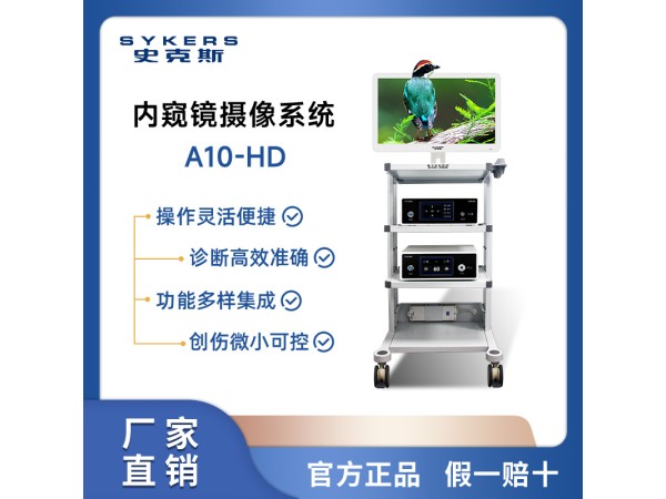 SYKERS 史克斯內(nèi)窺鏡 高清關(guān)節(jié)鏡攝像系統(tǒng) 關(guān)節(jié)動力系統(tǒng)