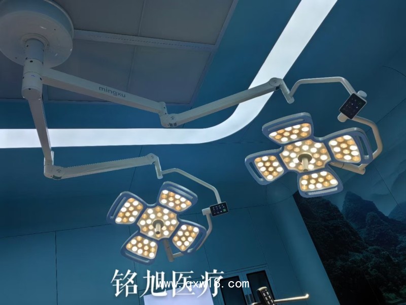 醫(yī)療工廠手術(shù)燈LED無(wú)影燈醫(yī)院雙臂手術(shù)燈移動(dòng)檢查燈