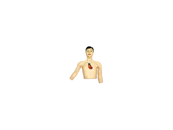 PICC介入訓(xùn)練模型