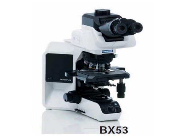 奧林巴斯 生物顯微鏡 BX53