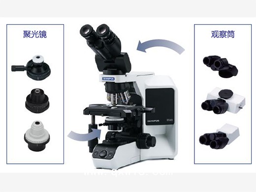 奧林巴斯BX43熒光生物顯微鏡