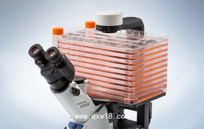 OLYMPUS倒置顯微鏡CKX53培養(yǎng)皿觀察