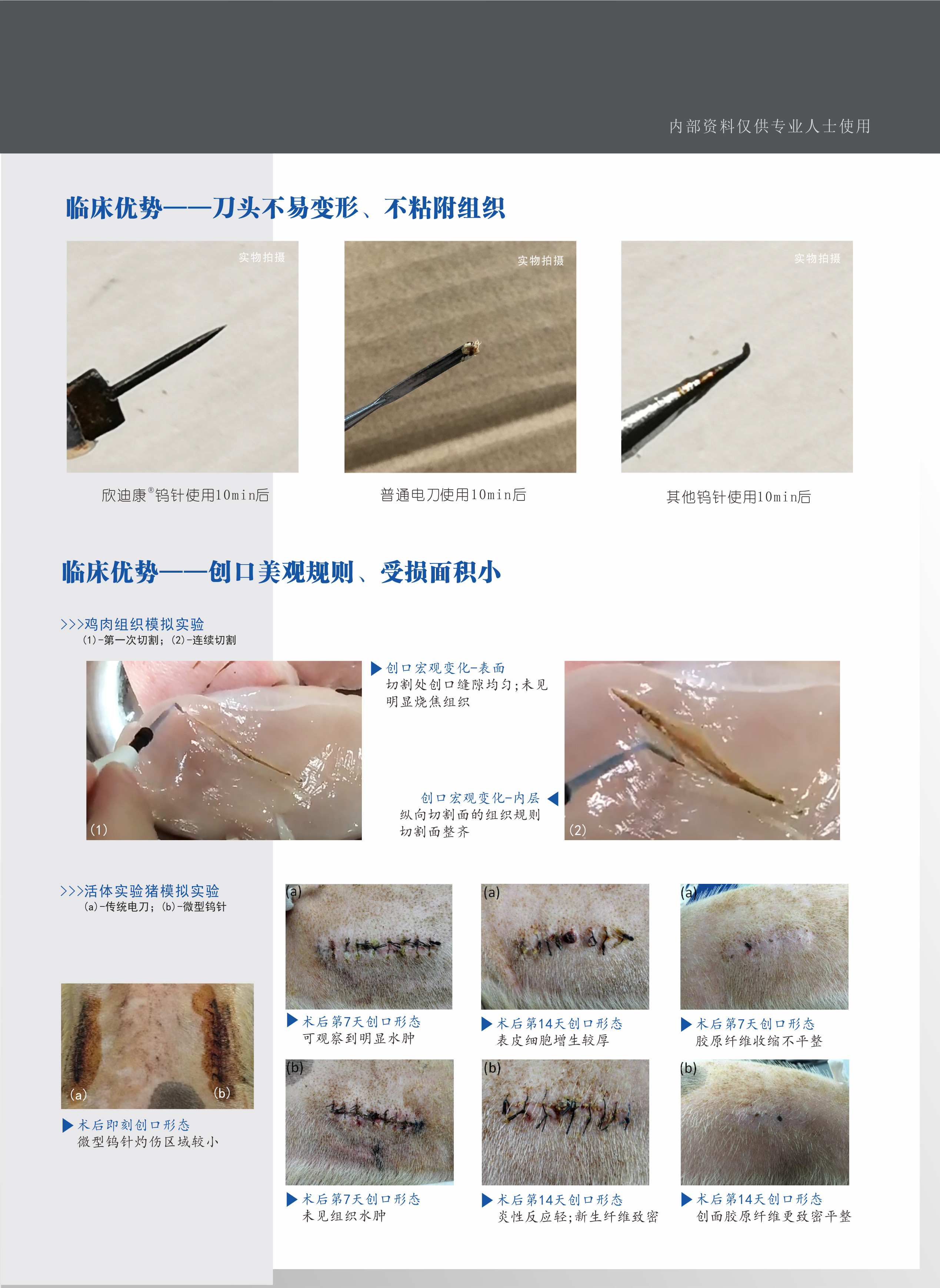 鎢針3.jpg