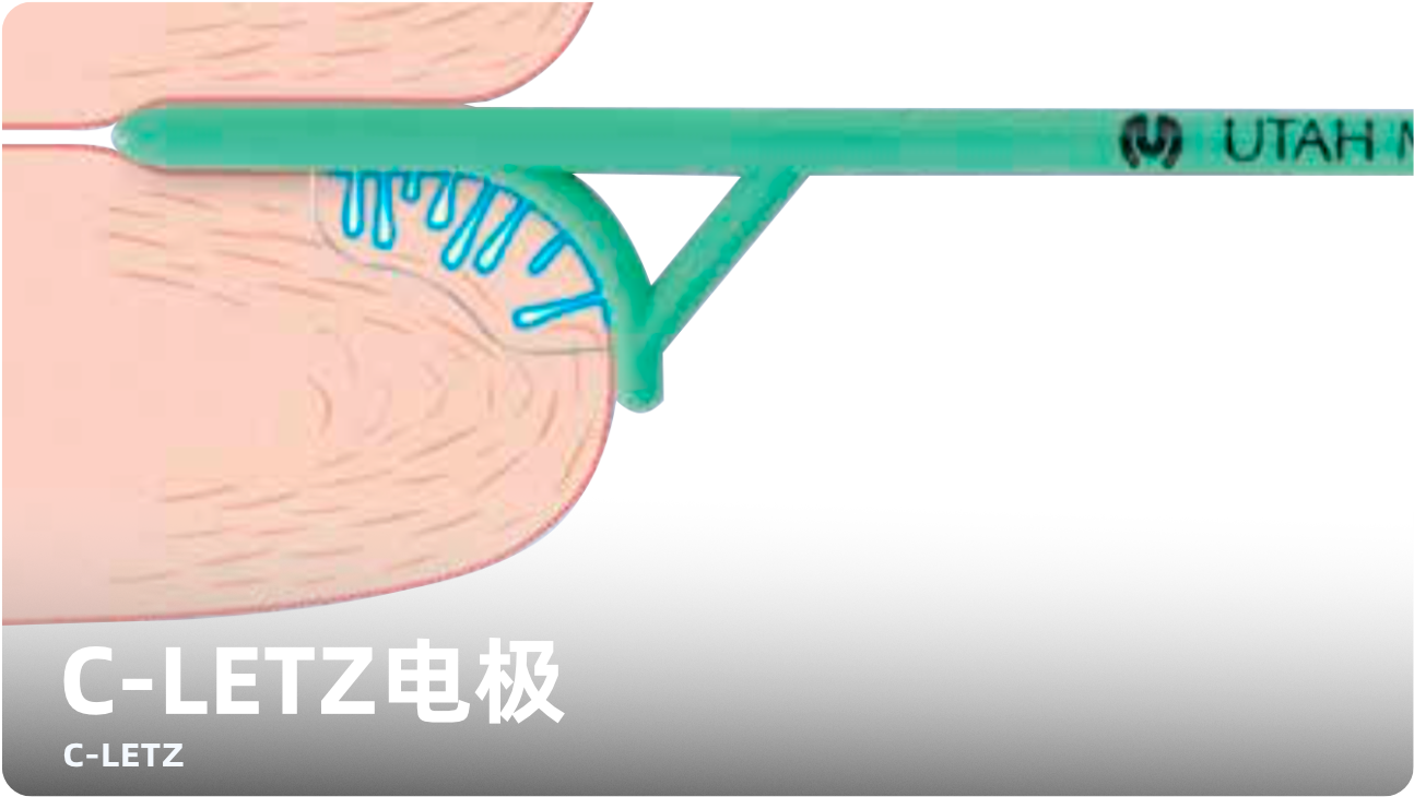 圖片上傳