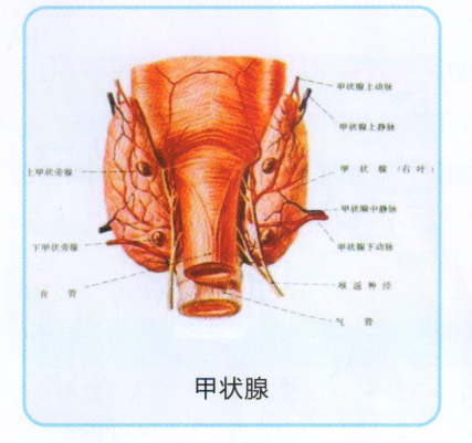 QQ截圖20220831170011.png