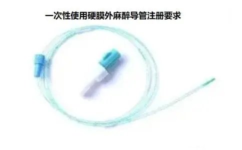 39.webp.jpg