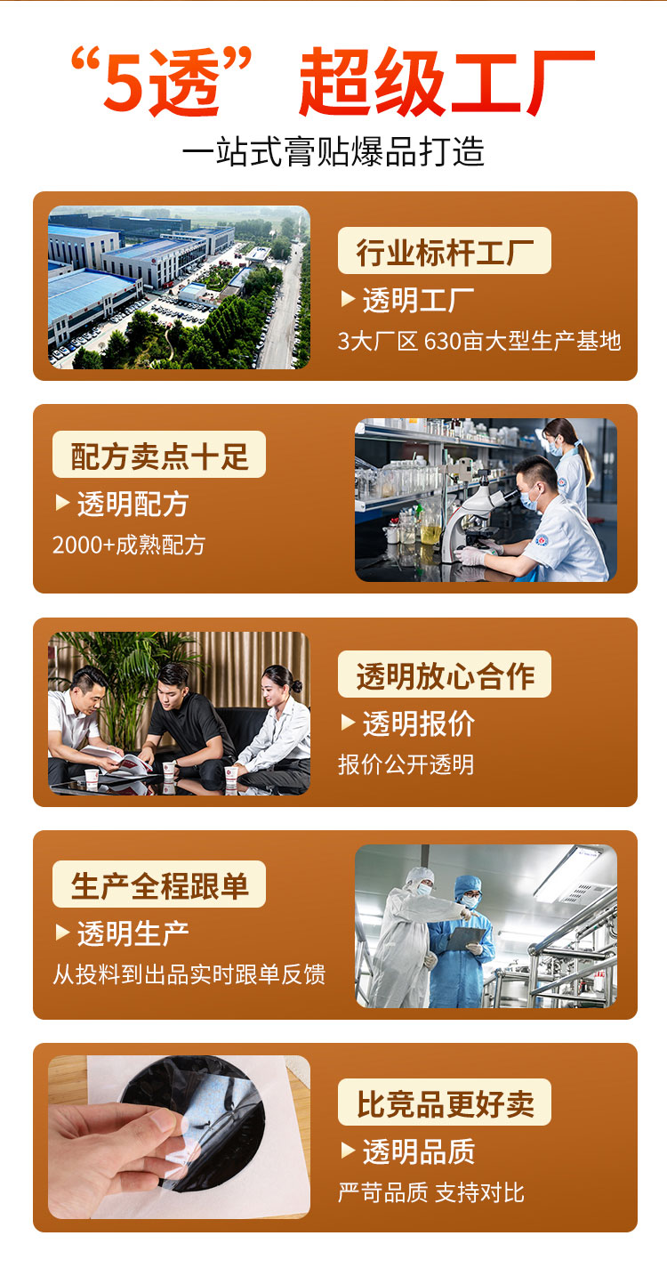 集團(tuán)膏貼膏劑落地頁.jpg