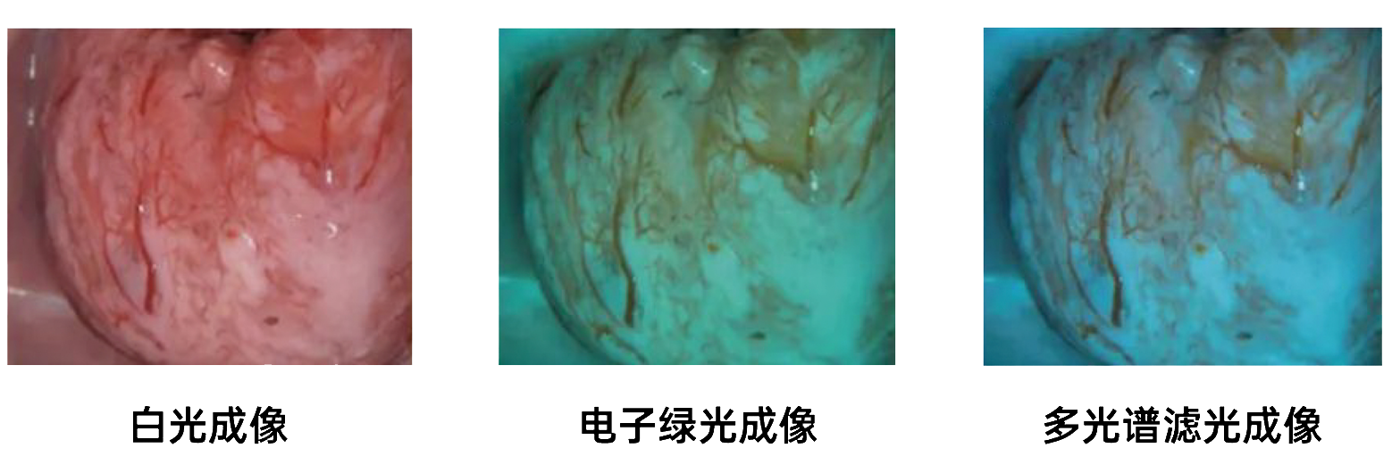6dcc1669ccf94f0920eae67b0b89f233.png